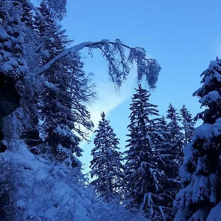 Apartamento Vordermuhr 34 *