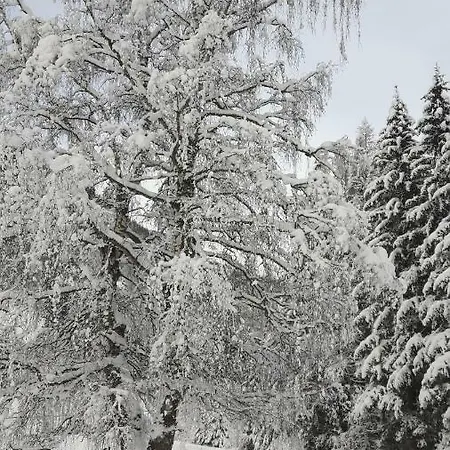 Vordermuhr 34