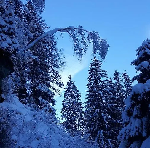 Apartment Vordermuhr 34 *